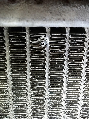 20150223_135150 — копия.jpg