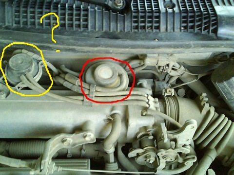 6d4d488s-480.jpg