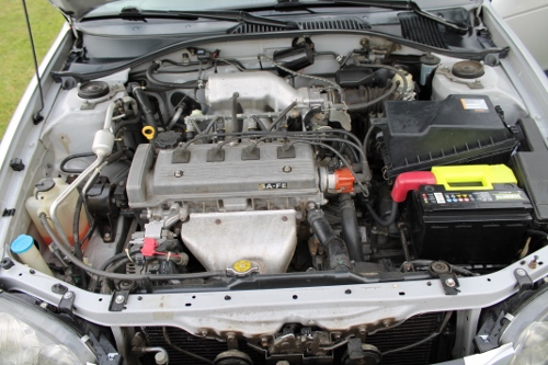 IMG_4864 (500x333).jpg